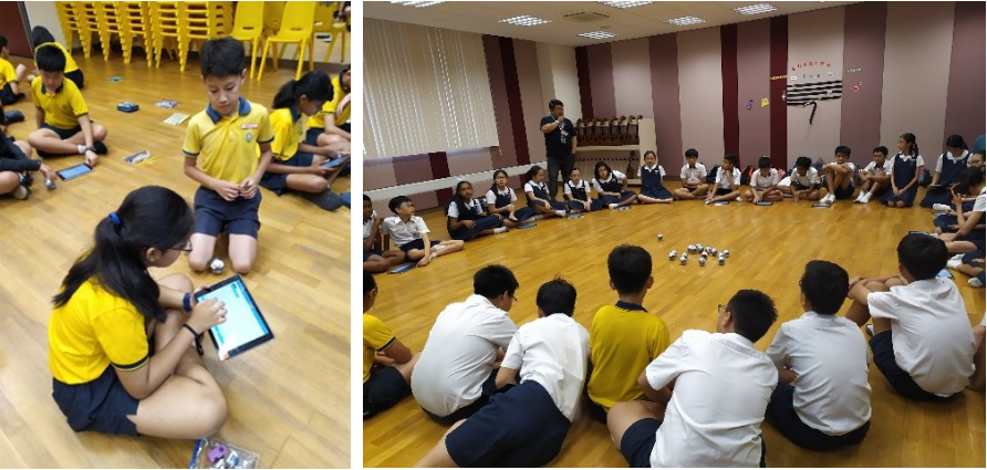Code For Fun Programme