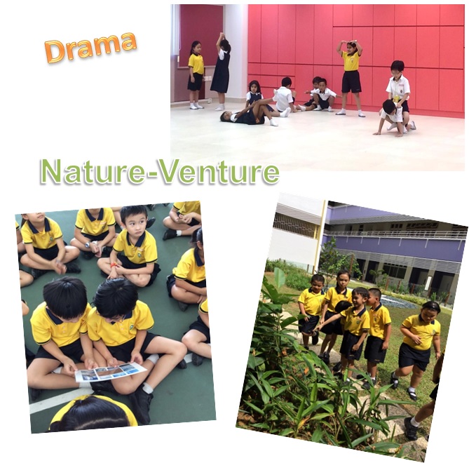 Programme for Active Learning (PAL)